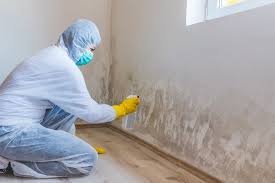 Best Water Damage & Mold Remediation in Bret Harte, CA